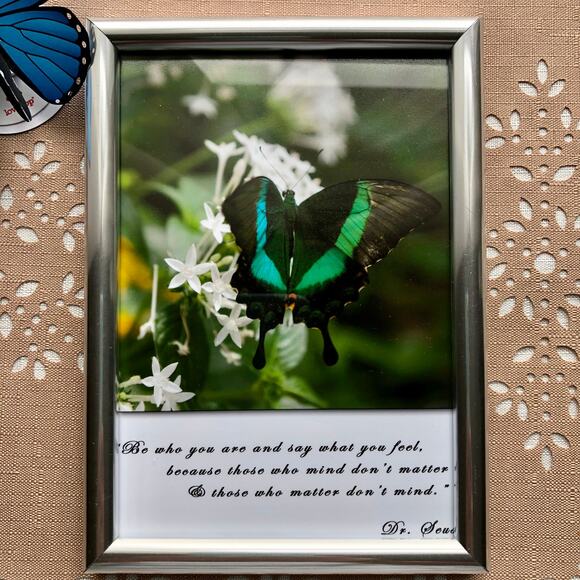 NEW Framed Butterfly on Jasmine Flower Print with Dr. Seuss Quote - Picture 5 of 8